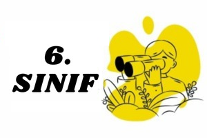 Deneme Kapsülü - 6. SINIF