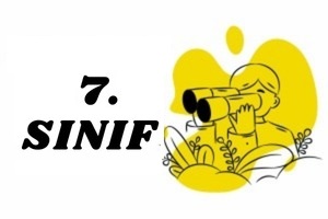 Deneme Kapsülü - 7. SINIF