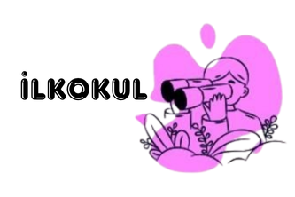 Deneme Kapsülü - İlkokul - Kategoriler