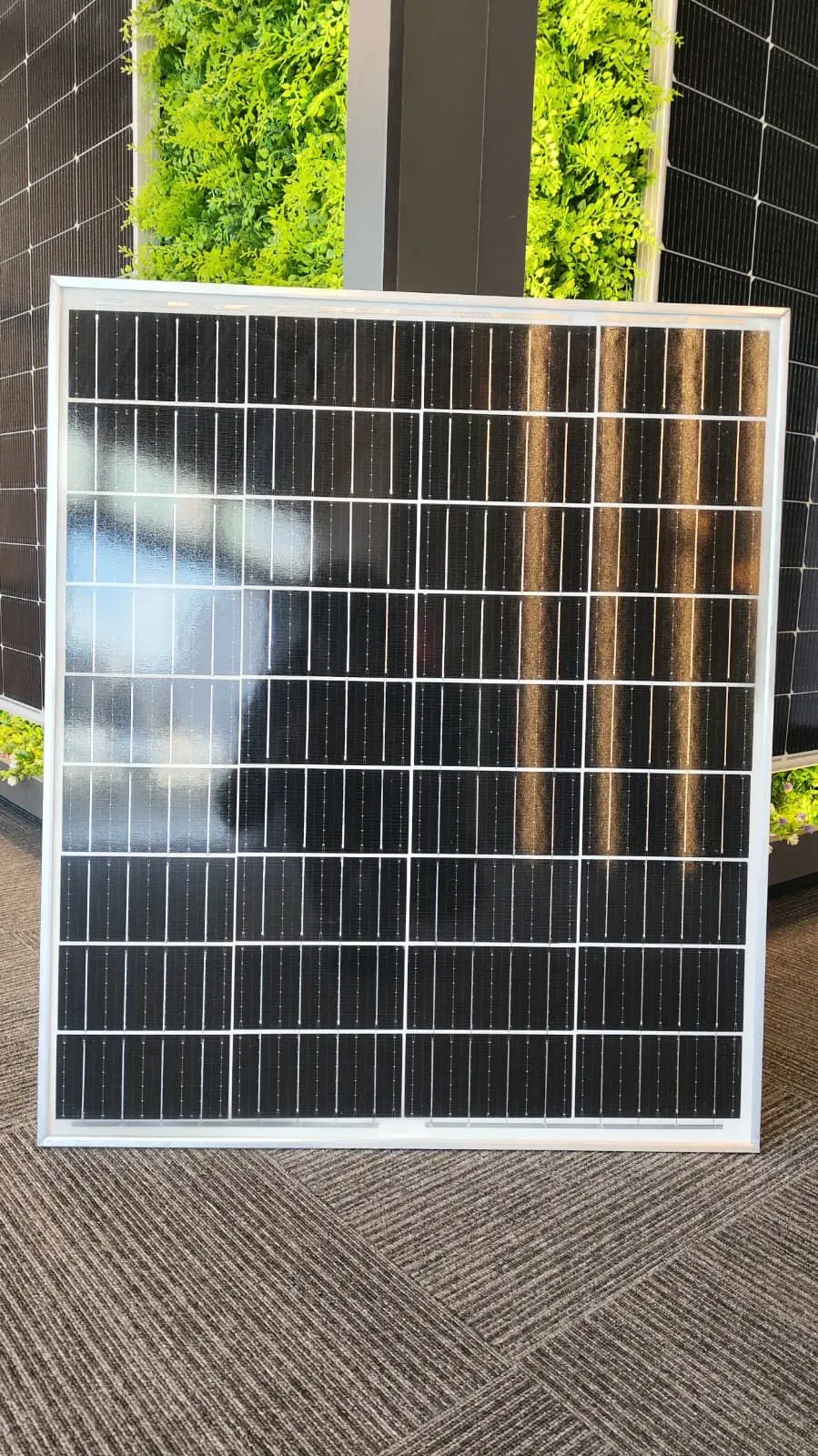 110 W A+ Class Monokristal Güneş Paneli-detail